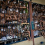 レス1番のサムネイル画像