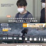 レス1番のサムネイル画像