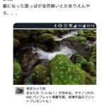 レス11番のサムネイル画像