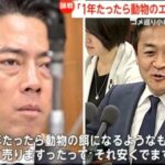 レス1番のサムネイル画像