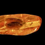 レス3番のサムネイル画像