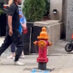 レス20番のサムネイル画像