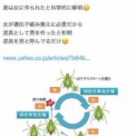 レス1番のサムネイル画像