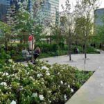 レス1番の画像5