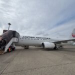 レス31番の画像1