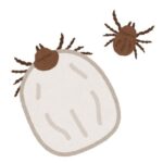 レス19番の画像1