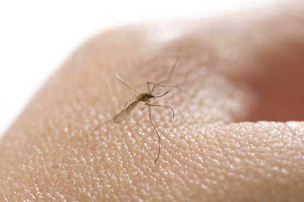 記事サムネイル