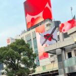 レス10番の画像1