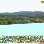 レス51番の画像1