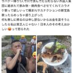 レス1番の画像1