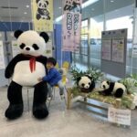 レス26番の画像2