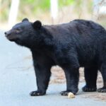 レス10番の画像1