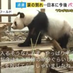 レス1番のサムネイル画像