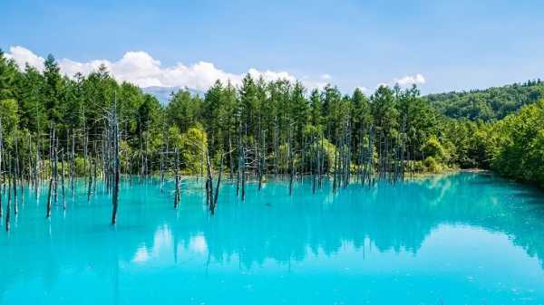 記事サムネイル