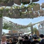 レス74番の画像1