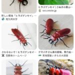 レス2番の画像1