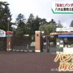 レス20番の画像1