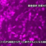 レス1番の画像1