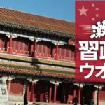 レス1番のリンク先のサムネイル画像