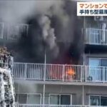 レス1番のリンク先のサムネイル画像