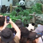 レス1番のリンク先のサムネイル画像