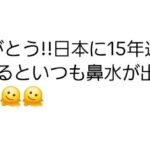 レス2番の画像3