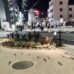 レス39番の画像8