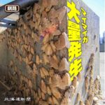 レス2番の画像1