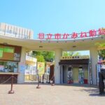 レス3番の画像2