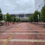 レス17番の画像1