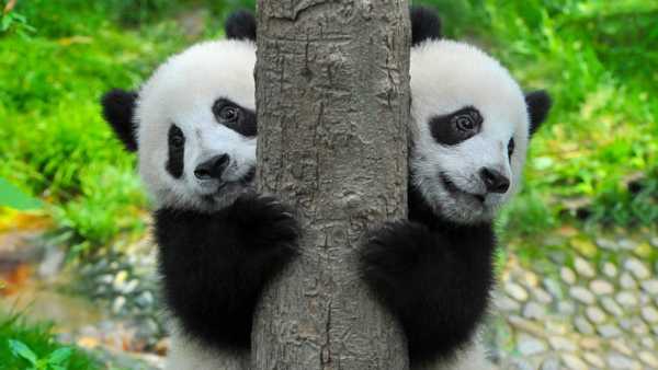 記事サムネイル