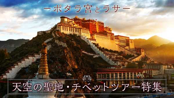 記事サムネイル