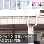 レス1番のリンク先のサムネイル画像