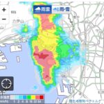 レス14番の画像1