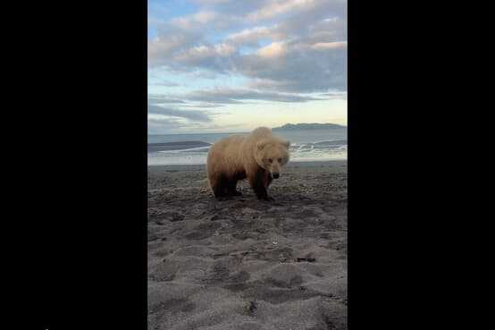 記事サムネイル