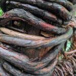 レス8番の画像2