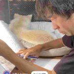 レス1番の画像1