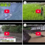 レス24番の画像1