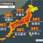 レス1番のリンク先のサムネイル画像