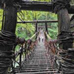 レス7番の画像3