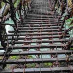 レス8番の画像1