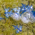 レス4番の画像2