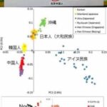 レス19番の画像1