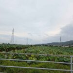 レス31番の画像1