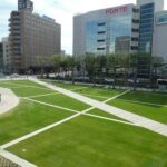 レス8番の画像1