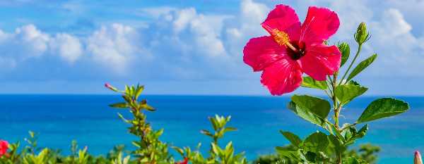 記事サムネイル