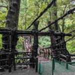 レス7番の画像2