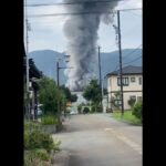 レス1番のリンク先のサムネイル画像