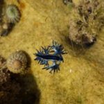 レス4番の画像1