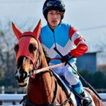 レス12番のリンク先のサムネイル画像